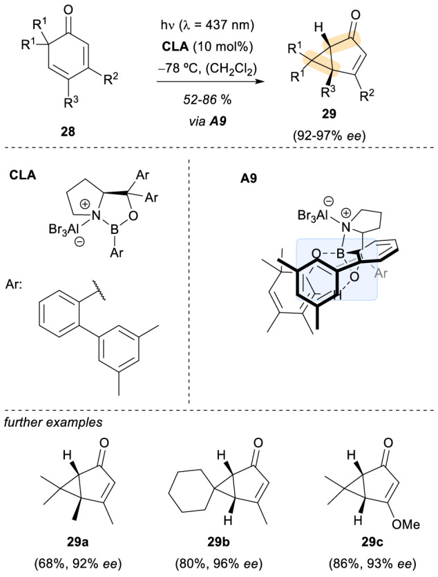 Scheme 8