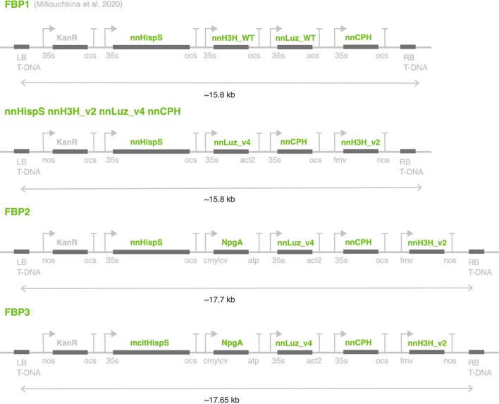 Extended Data Fig. 4