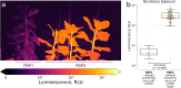 Extended Data Fig. 6