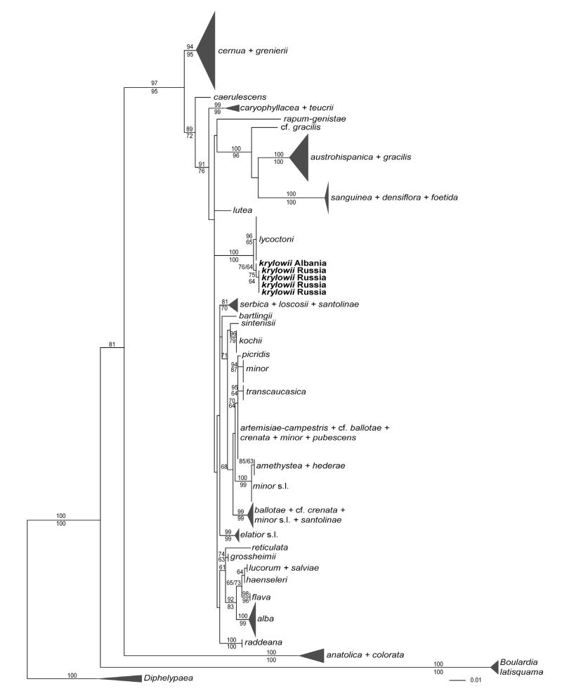 FIGURE 1