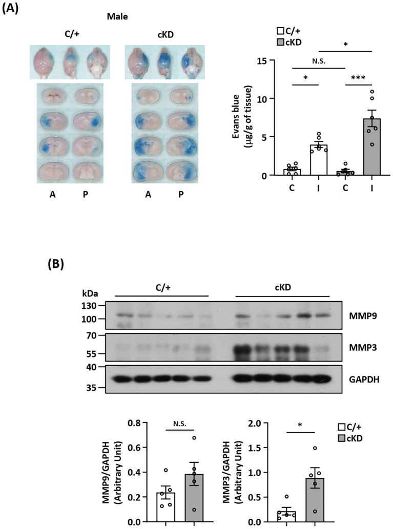 Figure 6