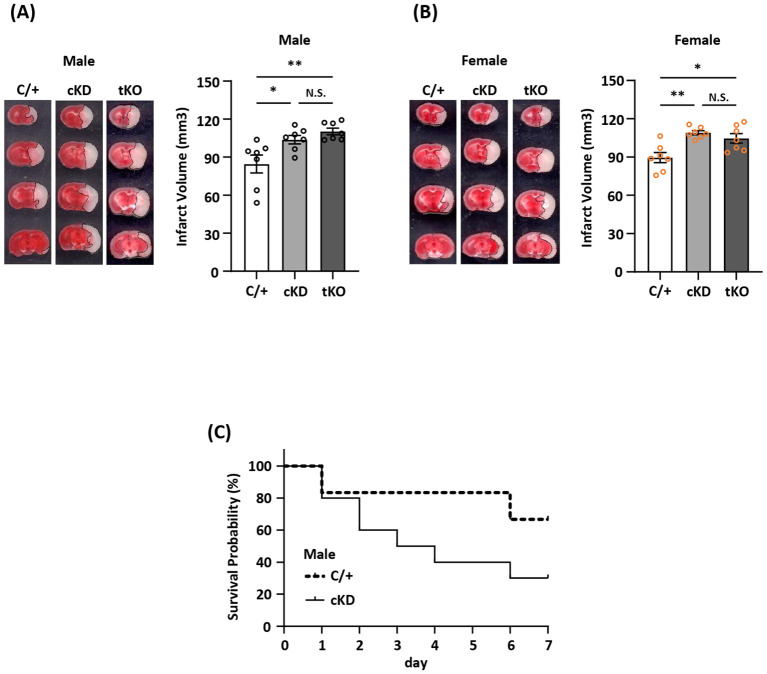 Figure 3