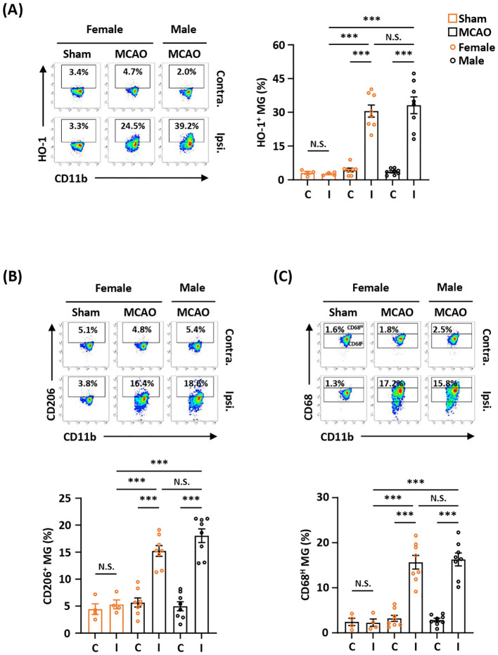 Figure 2