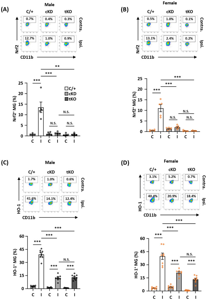 Figure 4