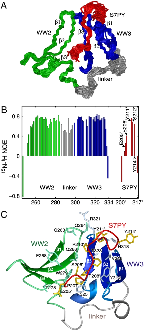 Fig. 3.