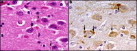 Fig. 9