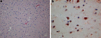 Fig. 6