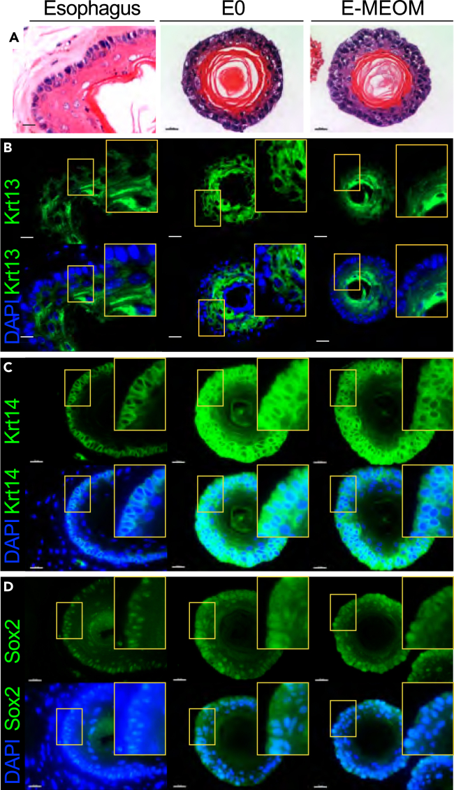 Figure 3