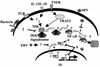FIG. 1.