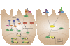 FIG. 2.