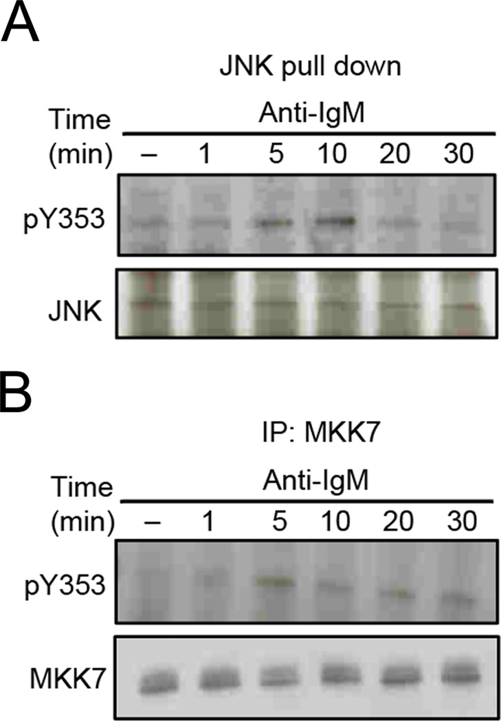 Figure 10