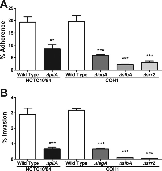 FIG 2 