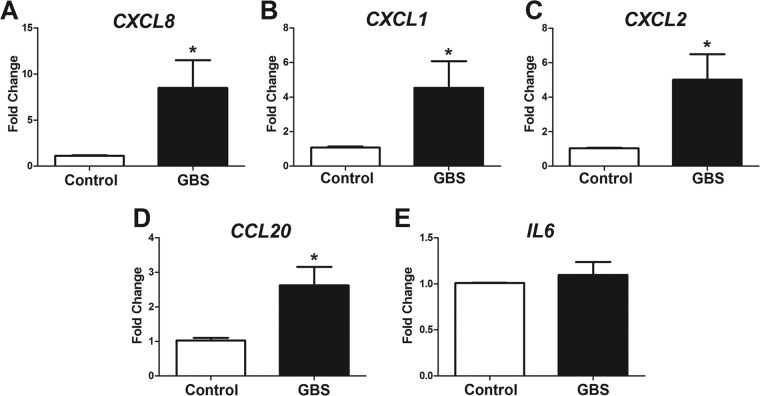 FIG 3 