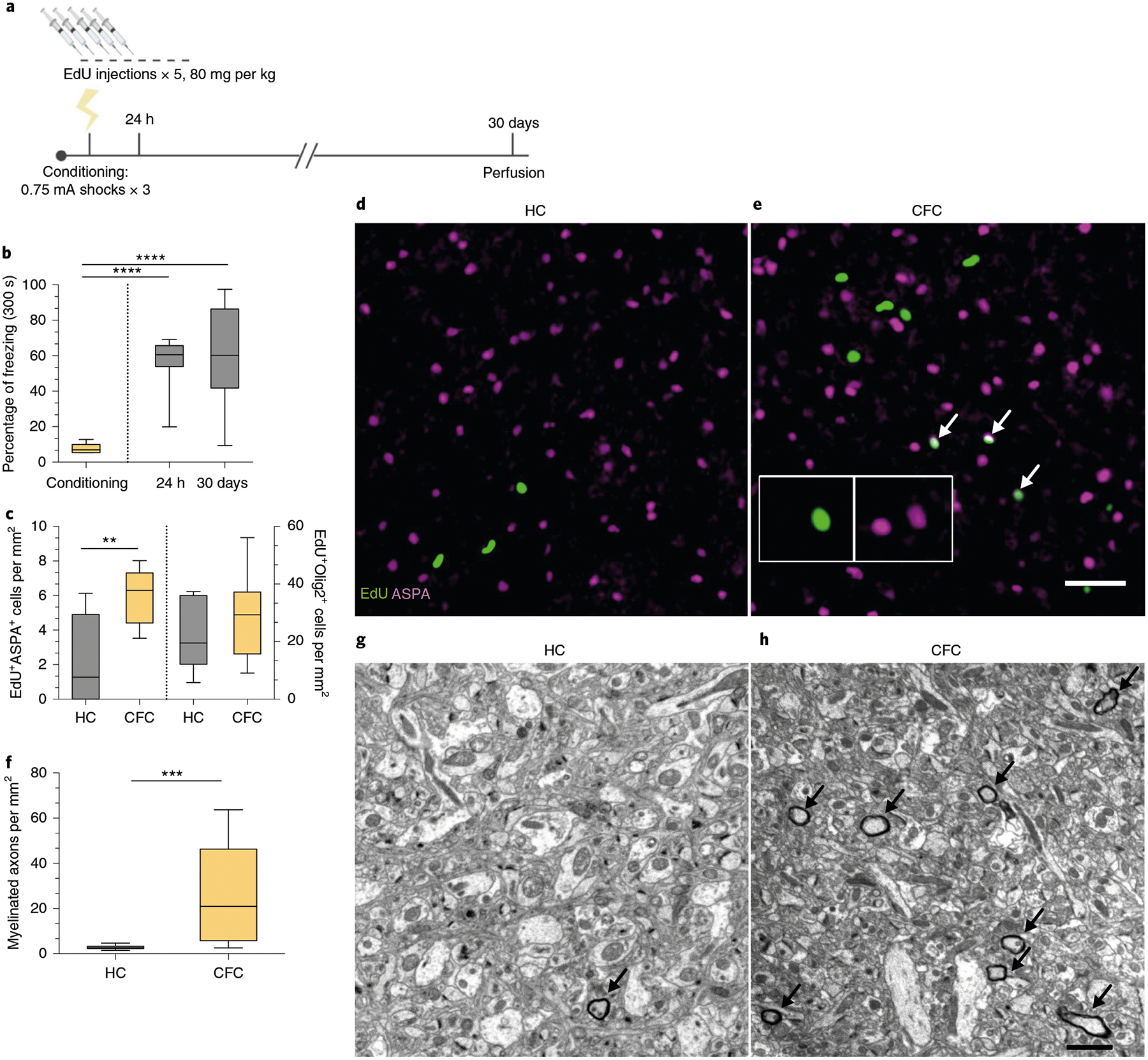 Fig. 2 |