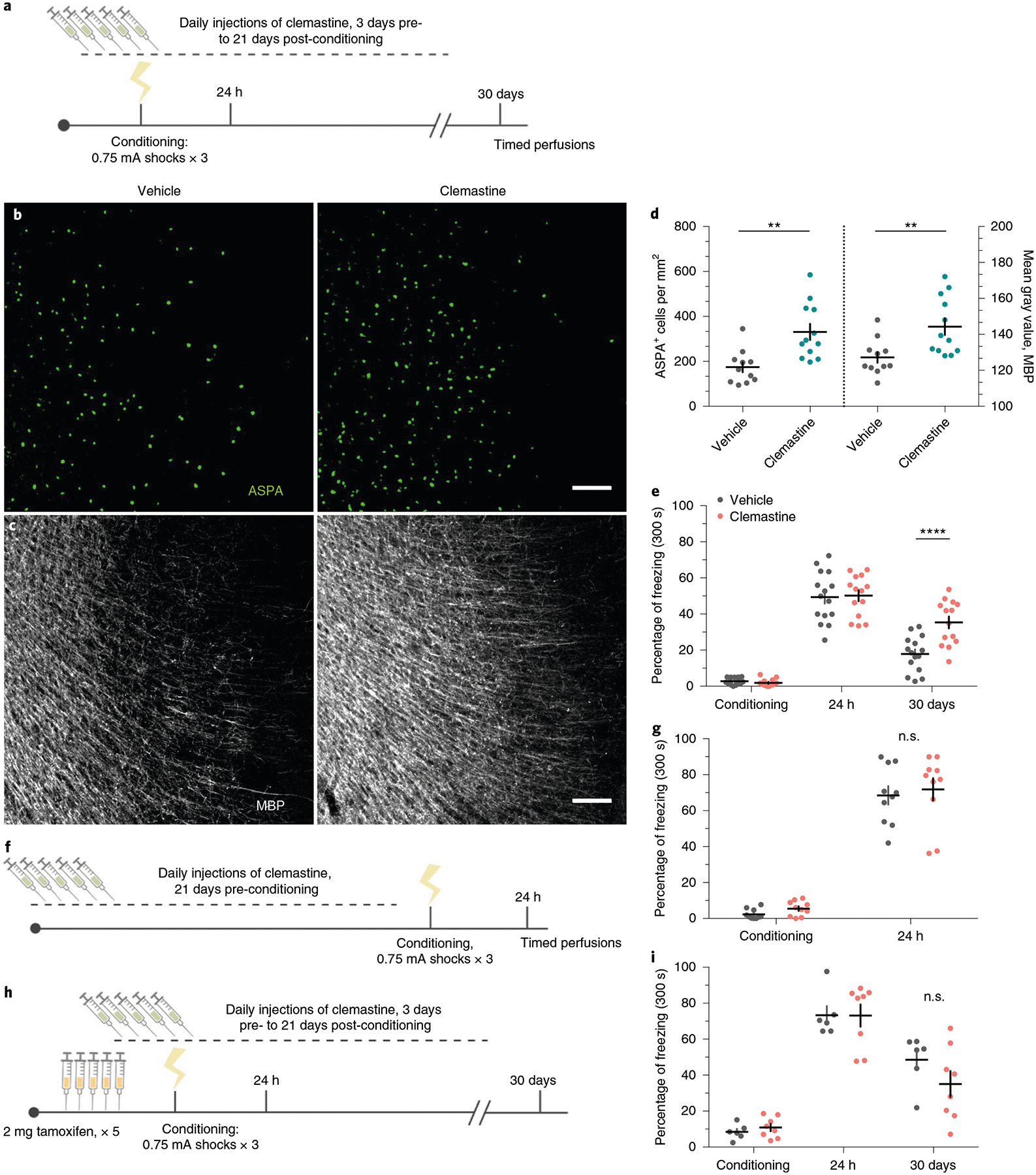 Fig. 7 |