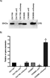 FIG 1