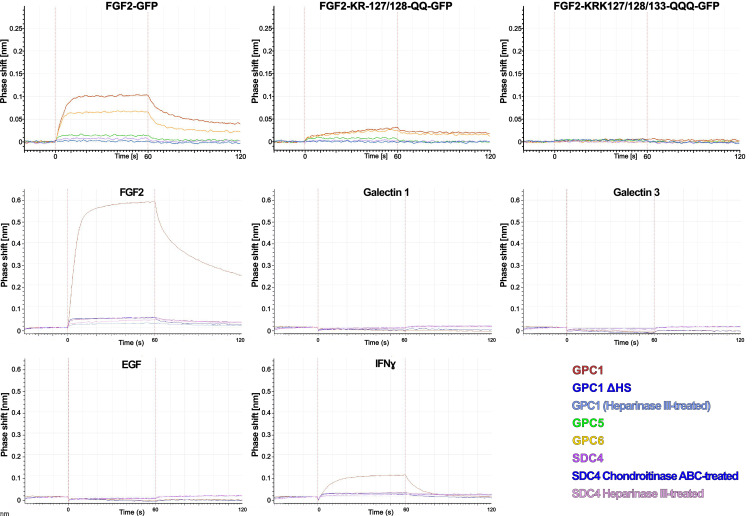 Figure 6—figure supplement 2.