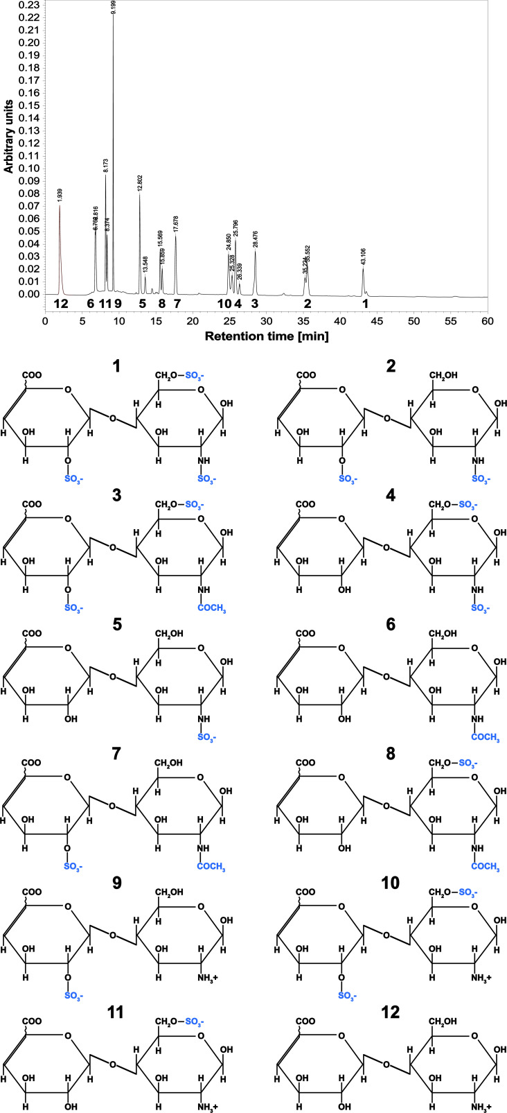 Figure 7—figure supplement 1.