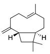 graphic file with name bioengineering-10-00633-i012.jpg