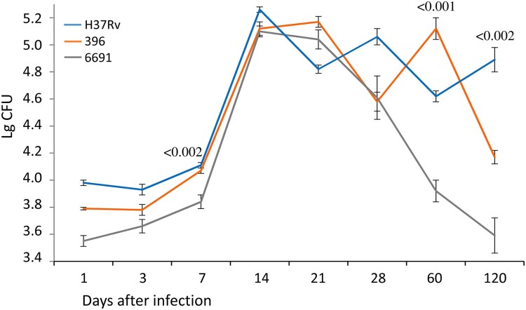 Figure 5.