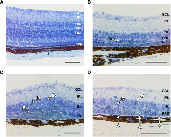 Fig. 8.