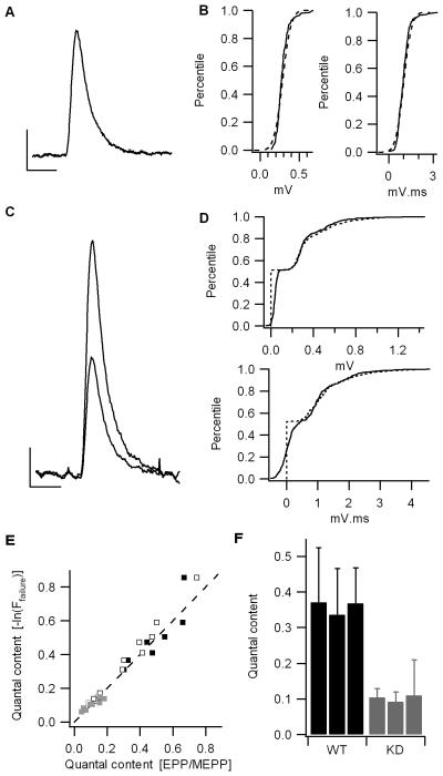 Fig 5