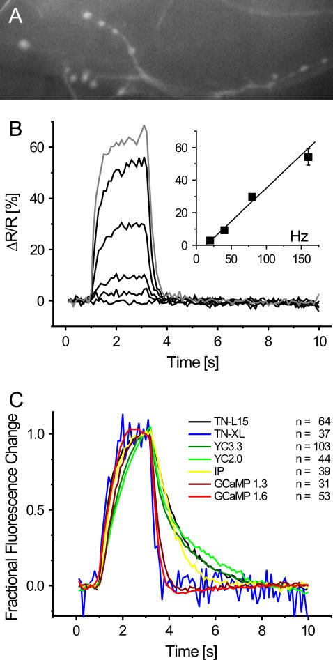 FIGURE 4