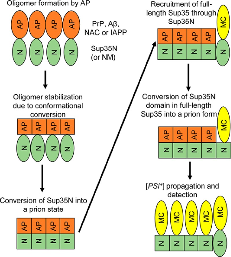 Figure 9.