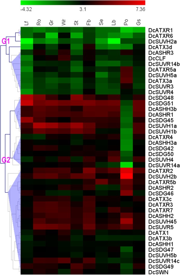 Fig. 6