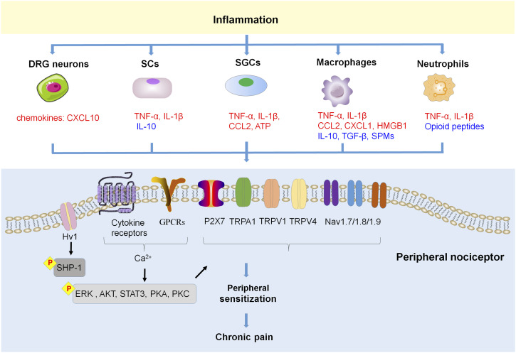 Figure 2.