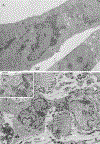 FIG. 8.
