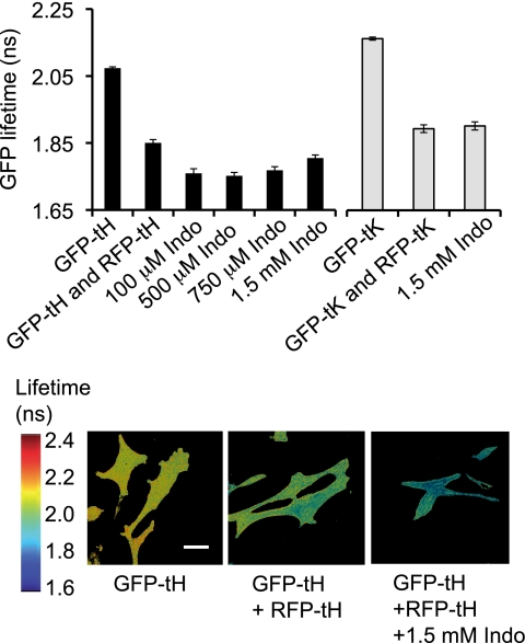 FIGURE 2.