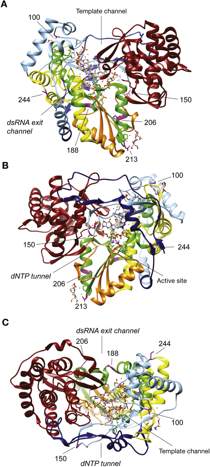 Figure 2