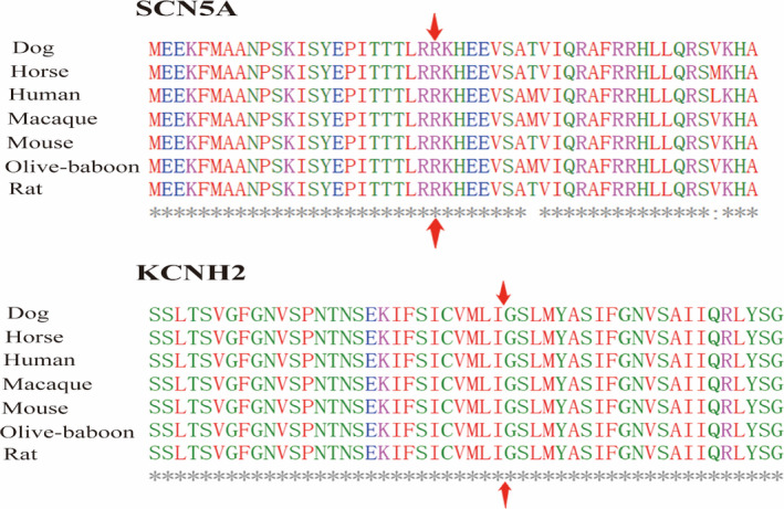 FIGURE 2