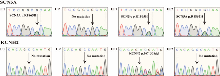 FIGURE 3