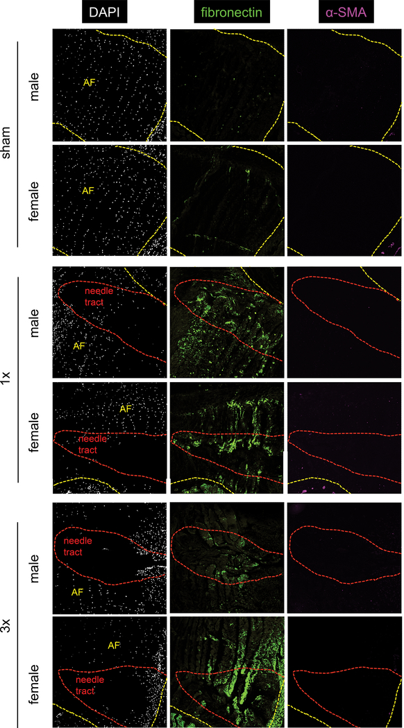 Figure 9.