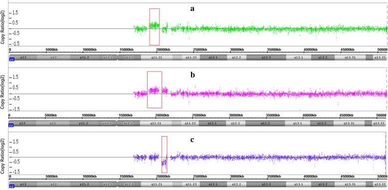 Fig. 3