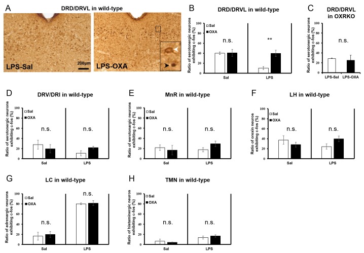 Figure 5—figure supplement 1.