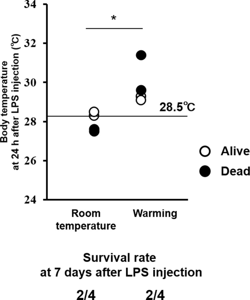 Figure 3—figure supplement 1.