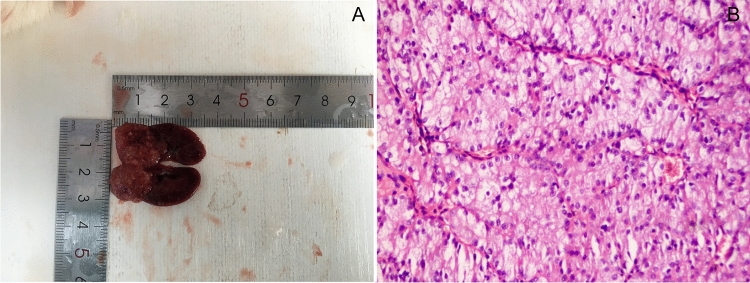 Fig. 8