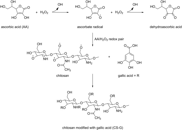 Scheme 1