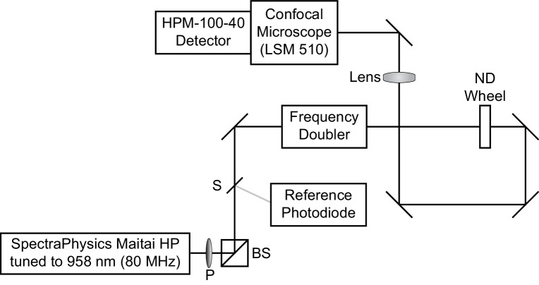 Scheme 1.