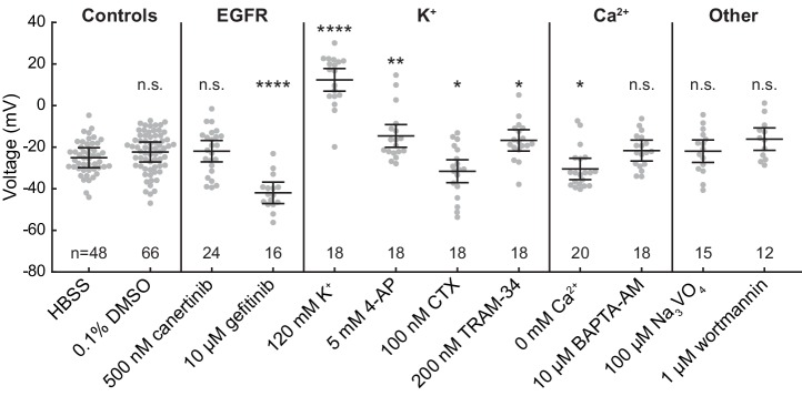 Figure 5—figure supplement 2.