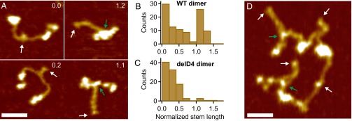 Fig. 4.