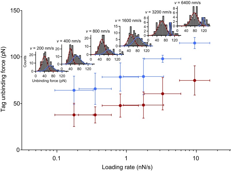 Fig. S3.