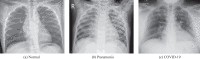 Fig.2