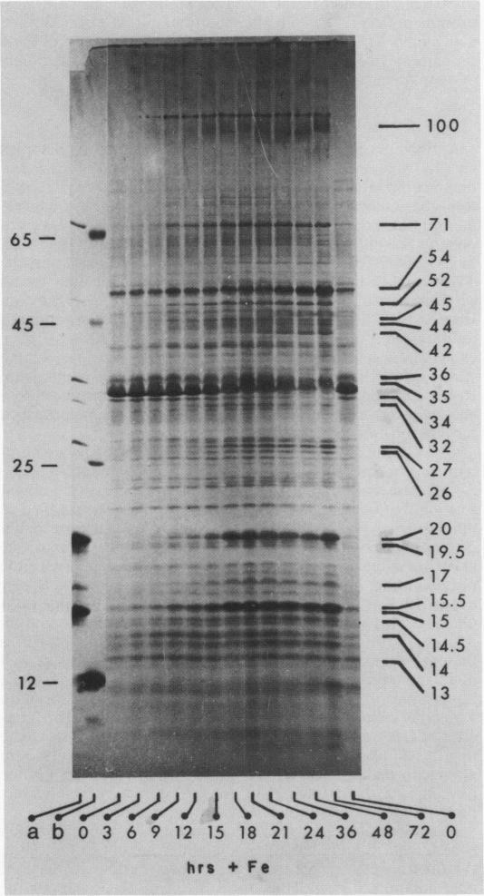 Fig. 8