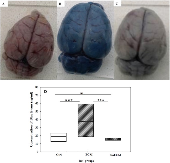 Fig 10