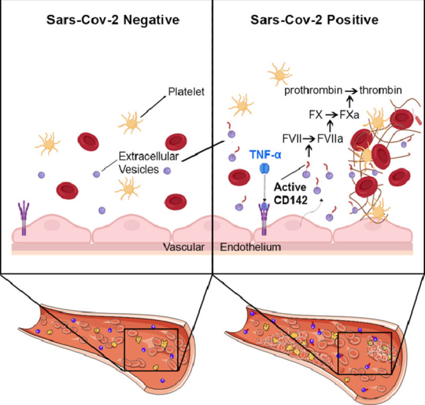 Image, graphical abstract