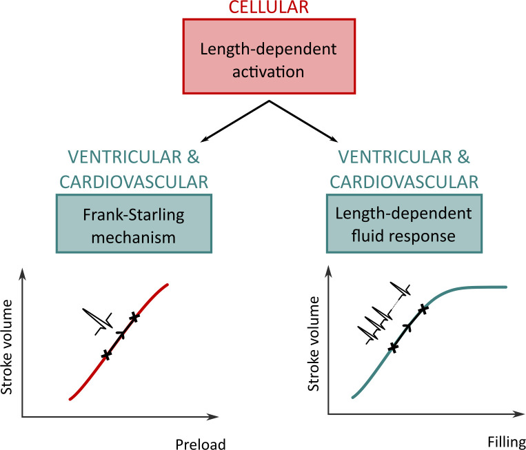 Fig 14